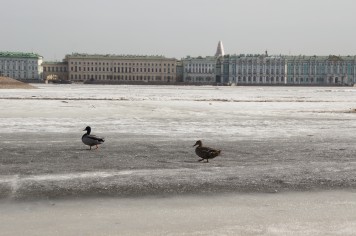 Winter vor dem Winterpalais