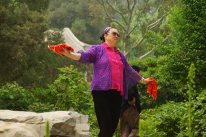 sonntags morgens beim Flugzeug-Einwinken im Park