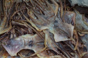 Tintenfisch - getrocknet so platt wie eine Flunder