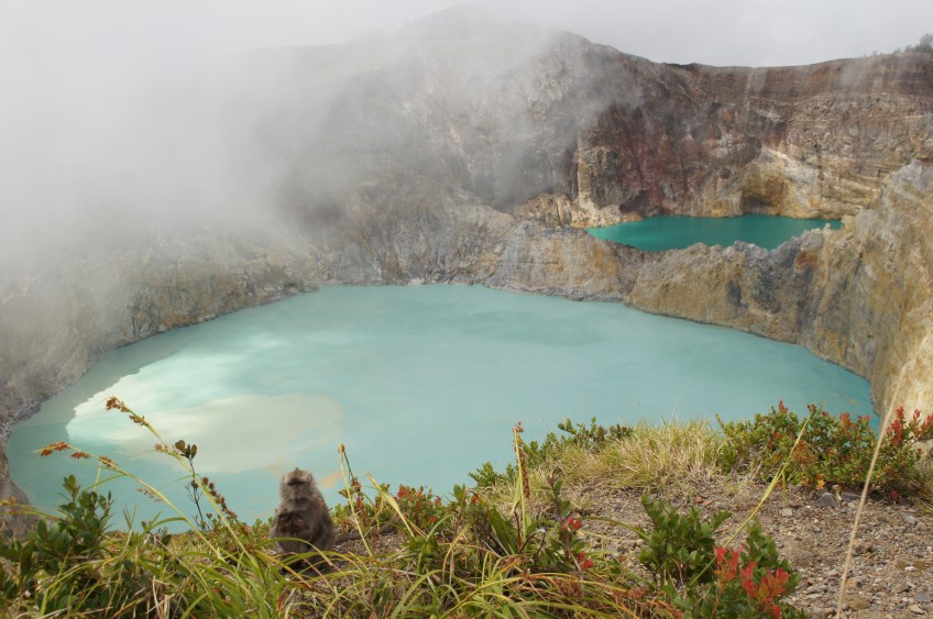 Kelimutu mit Affe