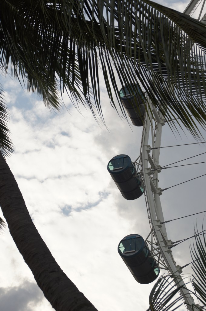 Singapore Flyer