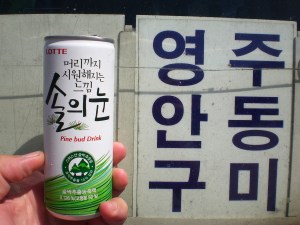 Kiefernknospen-Drink