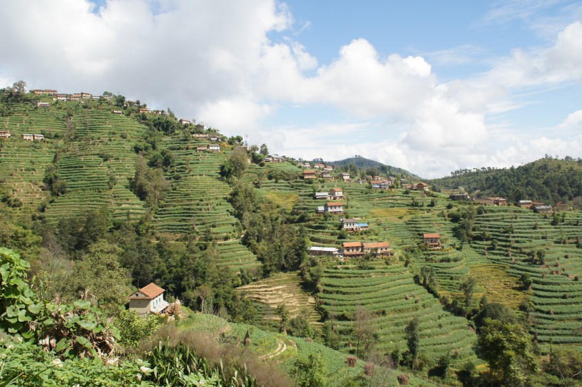 Terrassen auf dem Weg nach Banepa