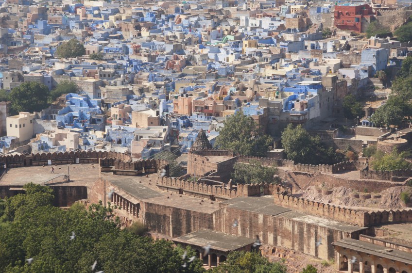 Jodhpur in blau