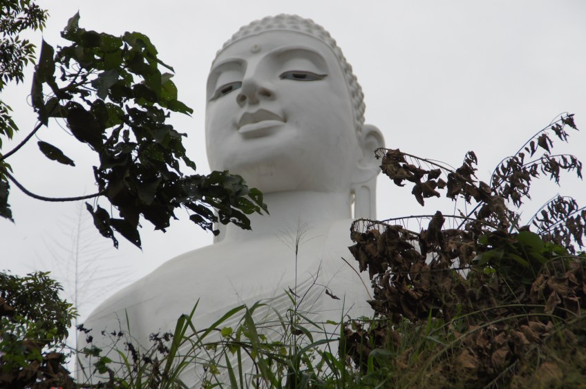 Buddha schaut drauf
