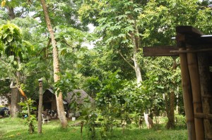 Tankstelle auf Tanna