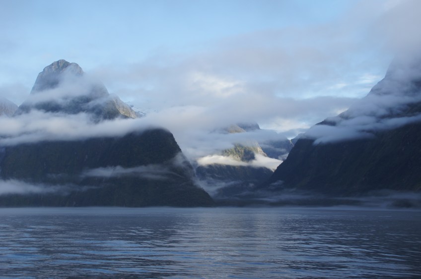 Morgennebel im Milford Sound