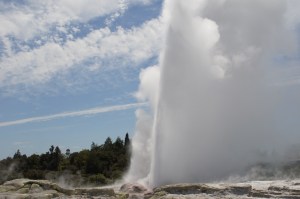 Der Pohutu spuckt gewaltig