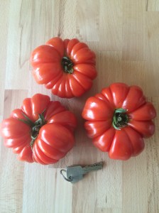 riesige Tomaten